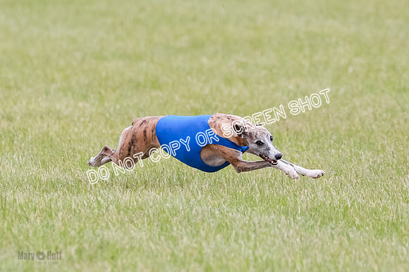 Final Fch 2 Archer Rasher Leni-8364