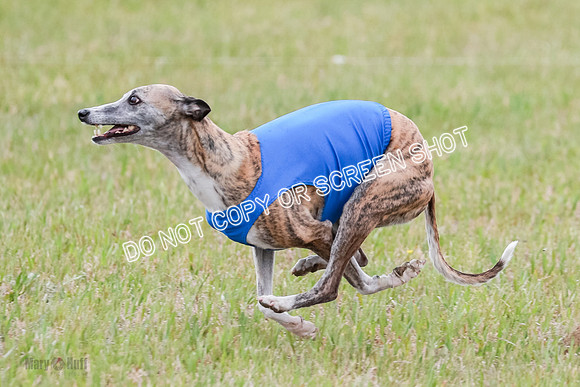 Final Fch 2 Archer Rasher Leni-8402