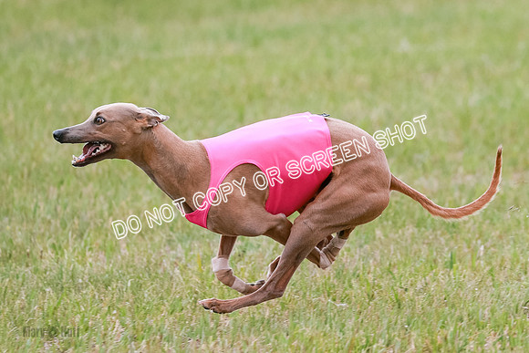 Final Fch 1 Whisper Keegan Charlie-8334
