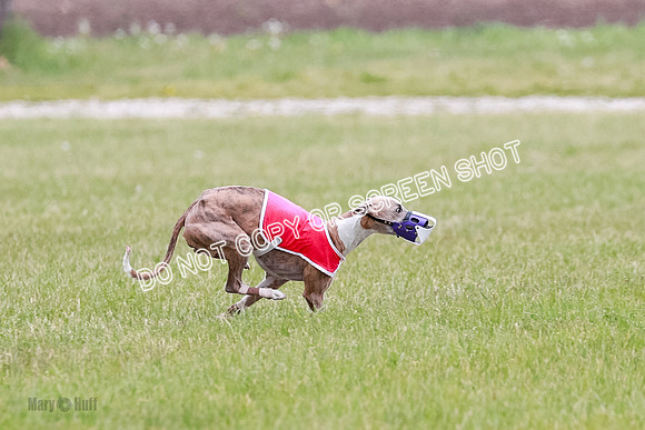 Final Fch 3 Quest Sonny Thor-8429