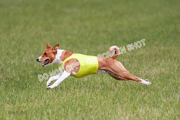 D Final Open Axel-8764
