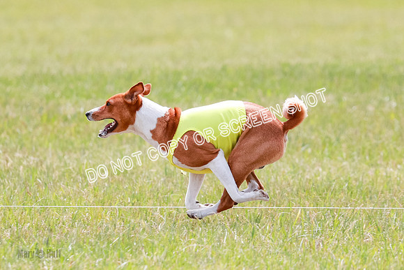 D Final Open Axel-8788