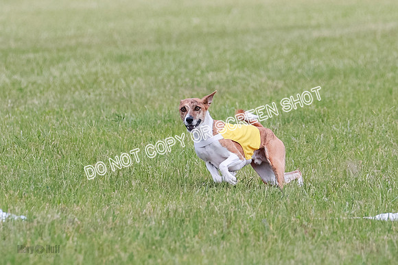 E Final Fch 1 Nightwing, Coco, Henna-8810