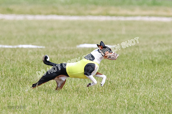 E Final Fch 2 Brady Chilly Pattie-8863