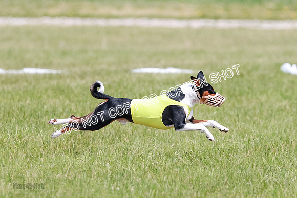 E Final Fch 2 Brady Chilly Pattie-8864