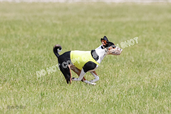 E Final Fch 2 Brady Chilly Pattie-8867