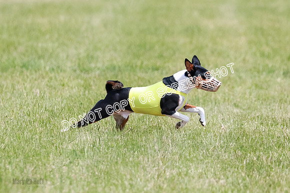 E Final Fch 2 Brady Chilly Pattie-8869
