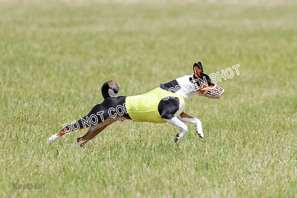 E Final Fch 2 Brady Chilly Pattie-8868