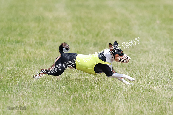 E Final Fch 2 Brady Chilly Pattie-8870