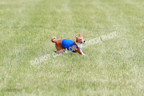 E Final Fch 2 Brady Chilly Pattie-8872