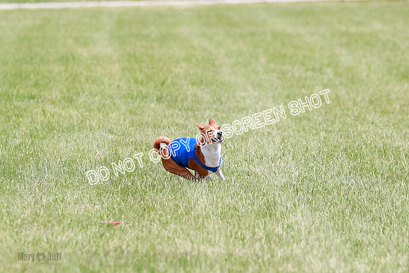 E Final Fch 2 Brady Chilly Pattie-8873