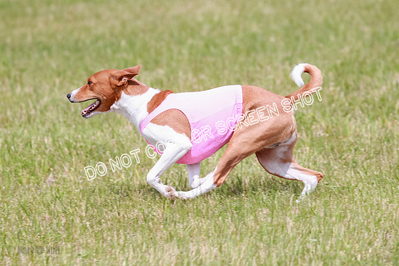 E Final Fch 2 Brady Chilly Pattie-8902