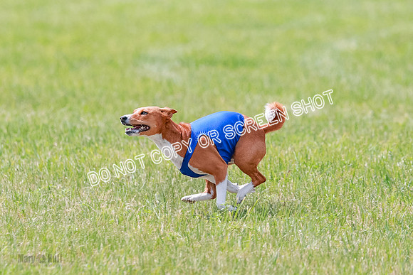 E Final Fch 2 Brady Chilly Pattie-8908