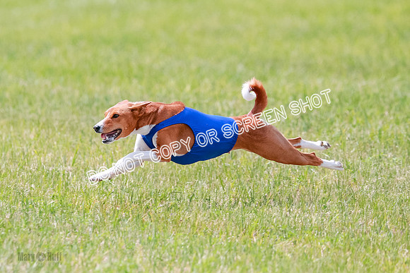E Final Fch 2 Brady Chilly Pattie-8910
