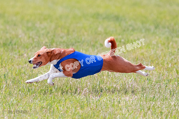 E Final Fch 2 Brady Chilly Pattie-8918