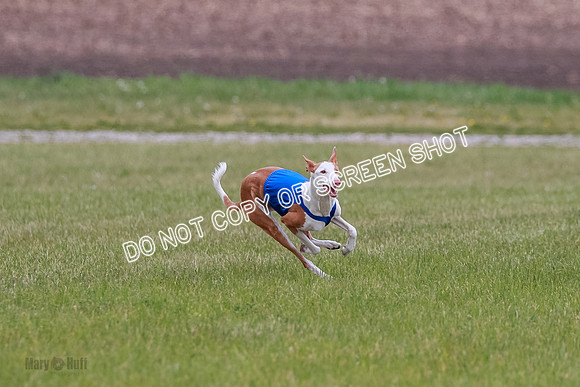 E Final Fch 1 Karma Mouse Ellie-9057