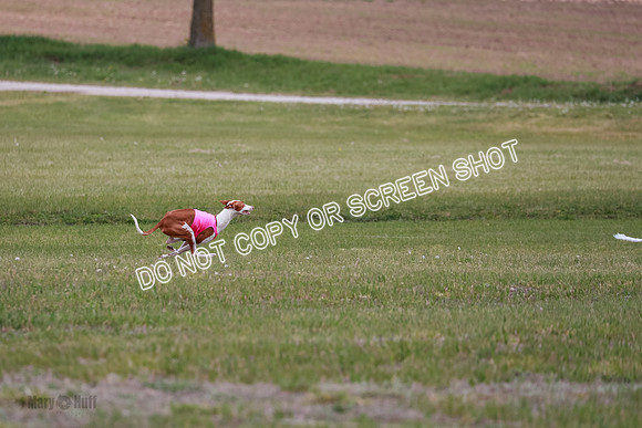 E Final Fch 1 Karma Mouse Ellie-9044