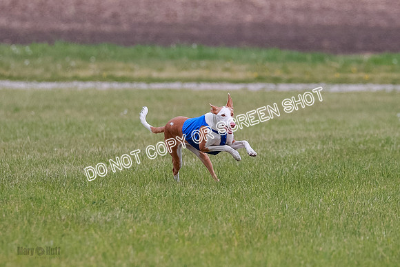 E Final Fch 1 Karma Mouse Ellie-9058