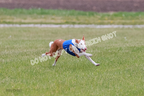 E Final Fch 1 Karma Mouse Ellie-9059