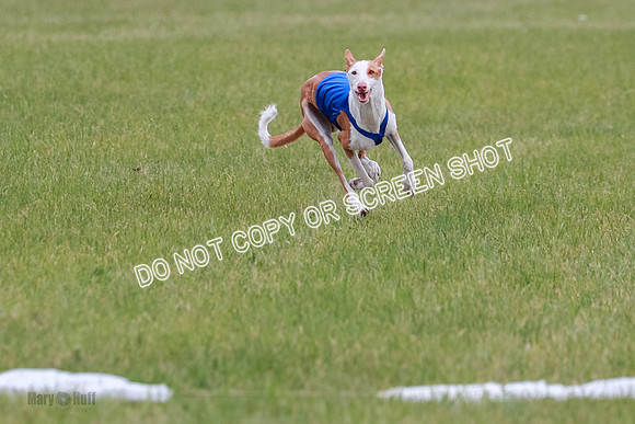 E Final Fch 1 Karma Mouse Ellie-9064