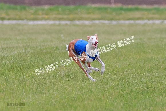 E Final Fch 1 Karma Mouse Ellie-9062