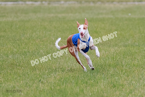 E Final Fch 1 Karma Mouse Ellie-9065
