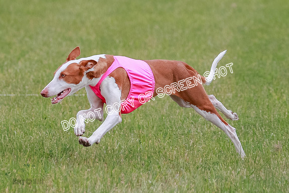 E Final Fch 1 Karma Mouse Ellie-9074
