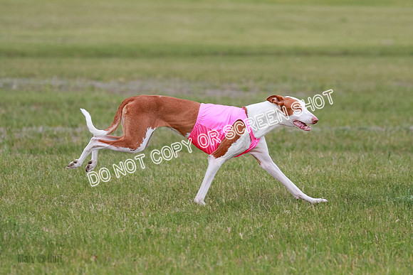 E Final Fch 1 Karma Mouse Ellie-9109