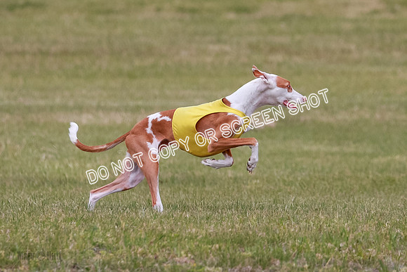 E Final Fch 2 Halo, Cooper Jadis-9126