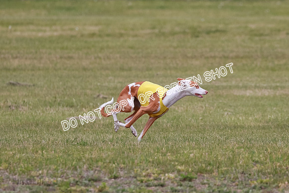 E Final Fch 2 Halo, Cooper Jadis-9124