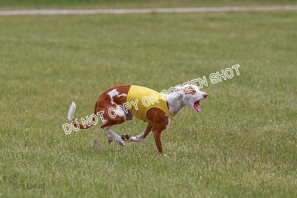 E Final Fch 2 Halo, Cooper Jadis-9136