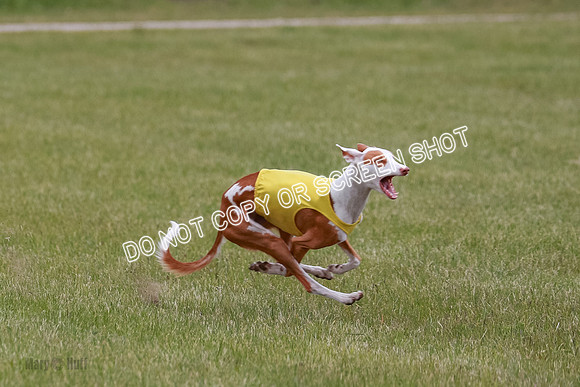 E Final Fch 2 Halo, Cooper Jadis-9137