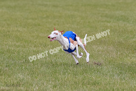 E Final Fch 2 Halo, Cooper Jadis-9140