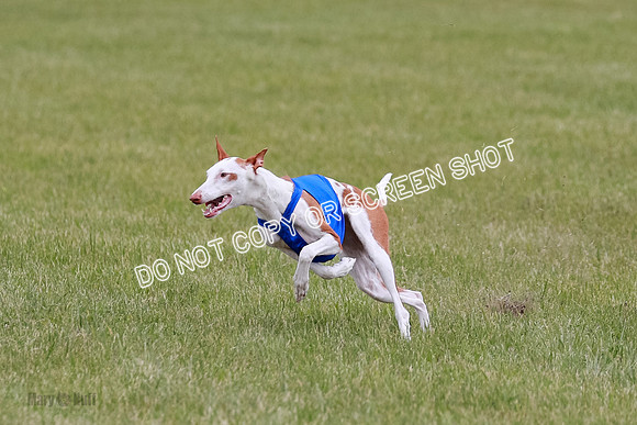 E Final Fch 2 Halo, Cooper Jadis-9141
