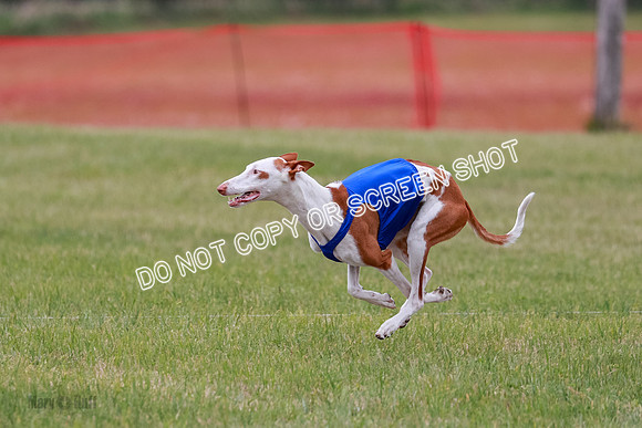 E Final Fch 2 Halo, Cooper Jadis-9144