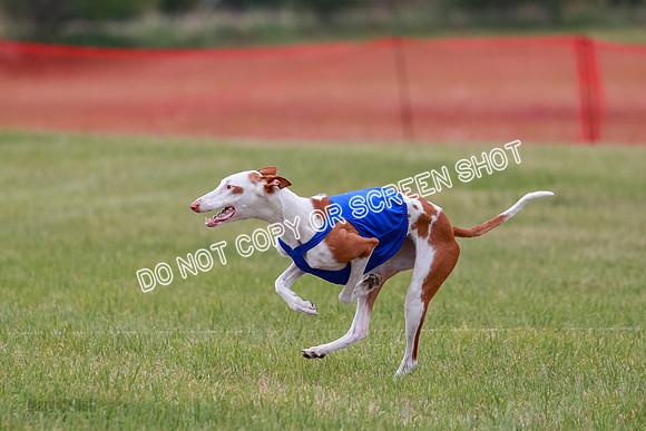 E Final Fch 2 Halo, Cooper Jadis-9145