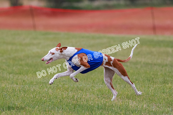 E Final Fch 2 Halo, Cooper Jadis-9146