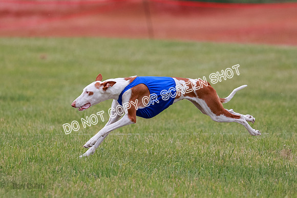 E Final Fch 2 Halo, Cooper Jadis-9147