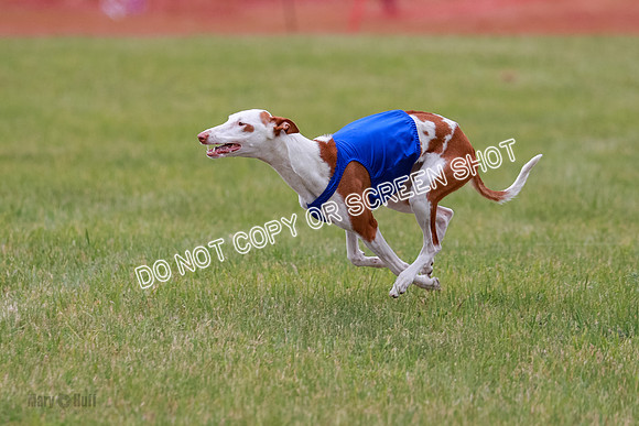 E Final Fch 2 Halo, Cooper Jadis-9149
