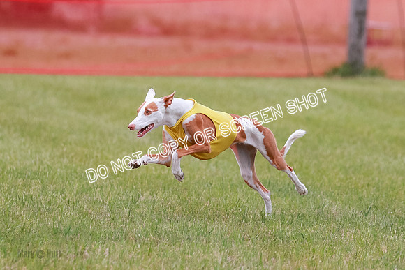E Final Fch 2 Halo, Cooper Jadis-9156
