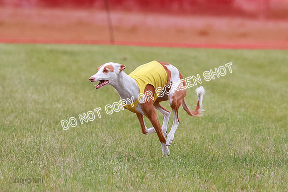 E Final Fch 2 Halo, Cooper Jadis-9159