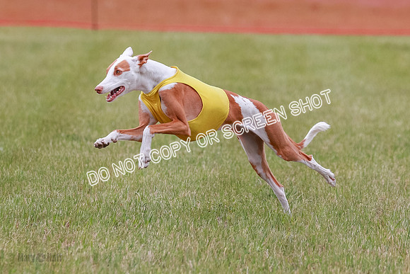E Final Fch 2 Halo, Cooper Jadis-9162