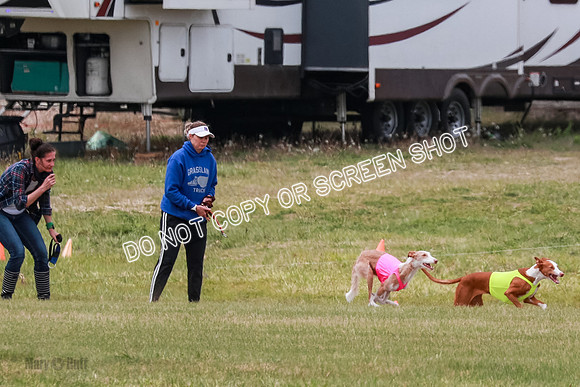 D Final Open 1 Alta Magda-8967