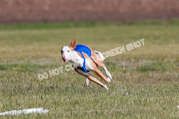 B  Prelim Fch 1 Ellie Mouse Tut-7177