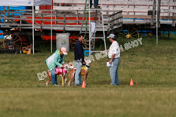 B Prelim Fch 2 Halo Cooper-7205