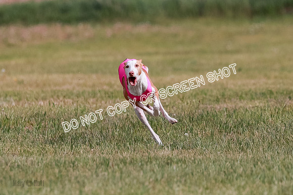 B Prelim Fch 3 Jadis Karma-7252