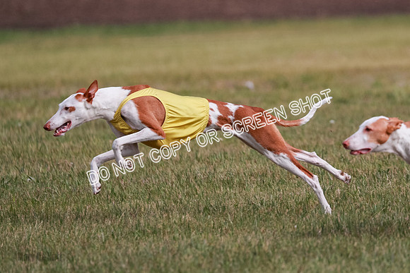 B Prelim Fch 3 Jadis Karma-7263