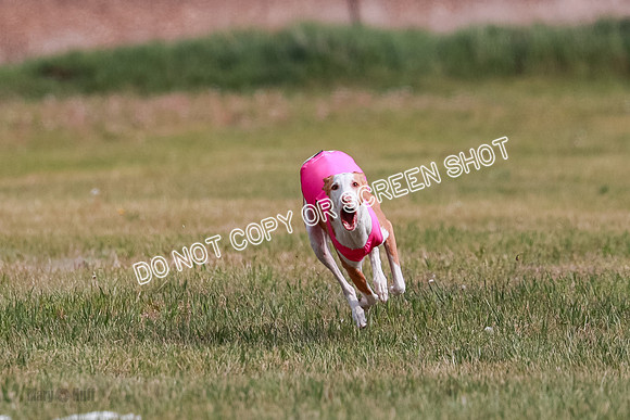 B Prelim Fch 3 Jadis Karma-7251
