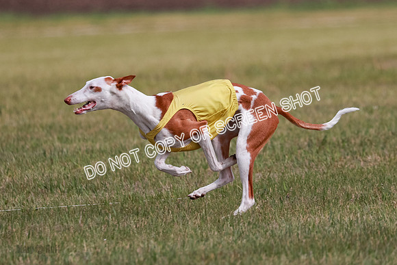 B Prelim Fch 3 Jadis Karma-7265