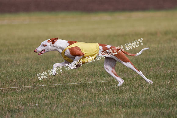 B Prelim Fch 3 Jadis Karma-7266